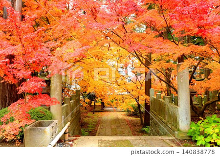 小善寺的紅葉 小善寺的紅葉 140838778