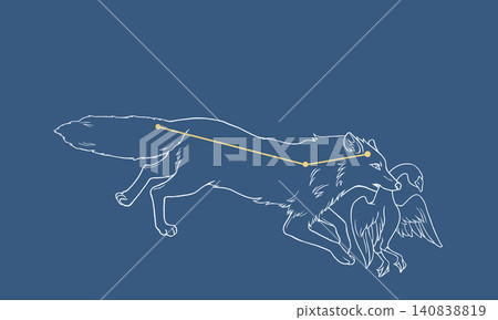 狐狸座的線條畫插圖(狐狸的白色線條和金色星座線條),背景為深藍色。 狐狸座的線條畫插圖(狐狸的白色線條和金色星座線條),背景為深藍色。 140838819