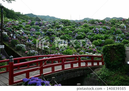 Hydrangea scenery at Katahara Onsen Ajisai no Sato (Hydrangea Village) 140839385