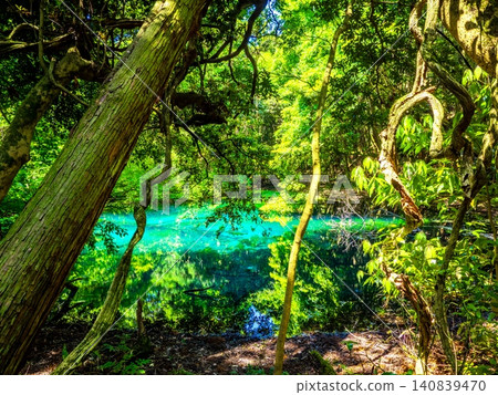 Maruike (Yusamachi, Yamagata Prefecture) Maruike (Yusamachi, Yamagata Prefecture) 140839470