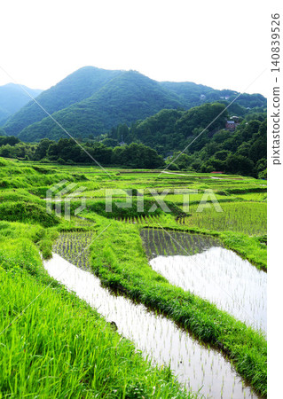 橫瀨町寺坂梯田 橫瀨町寺坂梯田 140839526