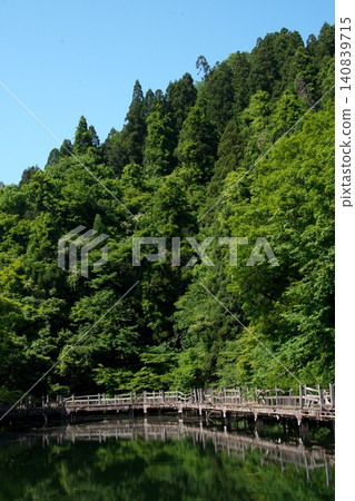 楓樹池塘被綠樹環繞 140839715