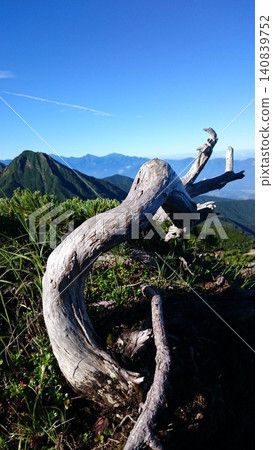 夏季,從長野縣南部第二條登山道上看到的天狗山。 夏季,從長野縣南部第二條登山道上看到的天狗山。 140839752