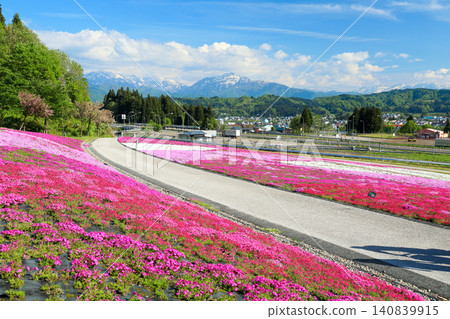 Spreading flower fields and the Echigo Sanzan mountains Spreading flower fields and the Echigo Sanzan mountains 140839915