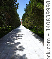 forest and boardwalk 140839998
