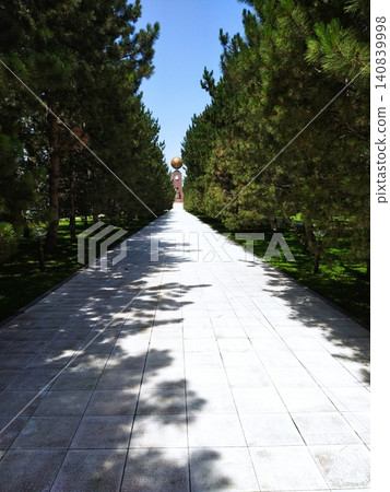 forest and boardwalk forest and boardwalk 140839998