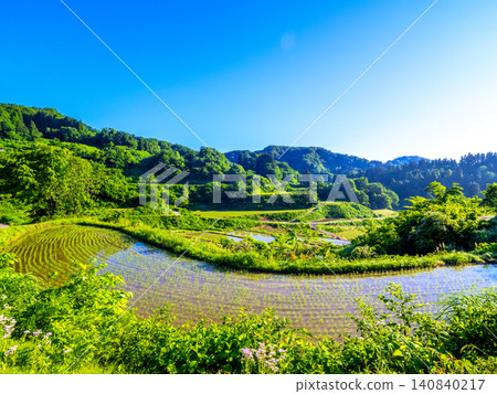 Hoshitoge Rice Terraces (Tokamachi City, Niigata Prefecture) 140840217