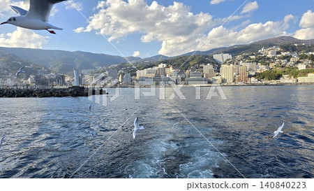從船上看到的海鷗和海濱小鎮景色 從船上看到的海鷗和海濱小鎮景色 140840223