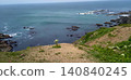 Flowers blooming on the cliff 140840245