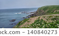Nature on a cliff 140840273