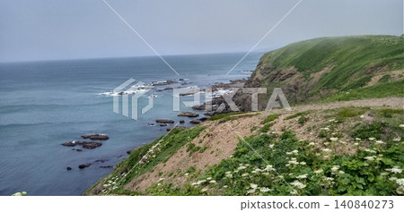 Nature on a cliff 140840273