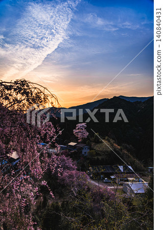 Bathed in the warm afternoon sun, the Shichiro cherry blossoms of Totsukawa Village beautifully adorn the quintessential Japanese landscape. Bathed in the warm afternoon sun, the Shichiro cherry blossoms of Totsukawa Village beautifully adorn the quintessential Japanese landscape. 140840431