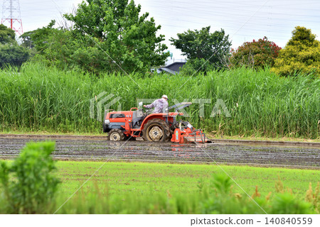 A person tilling a rice field with a tractor before rice planting. A person tilling a rice field with a tractor before rice planting. 140840559