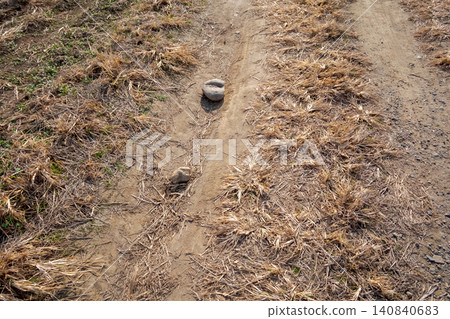 田野間的小路兩旁是石頭和枯草。 田野間的小路兩旁是石頭和枯草。 140840683