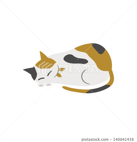 Sleeping cat Sleeping cat 140842438