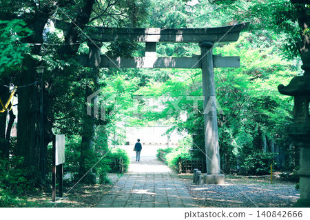 Torii gates covered in greenery Torii gates covered in greenery 140842666