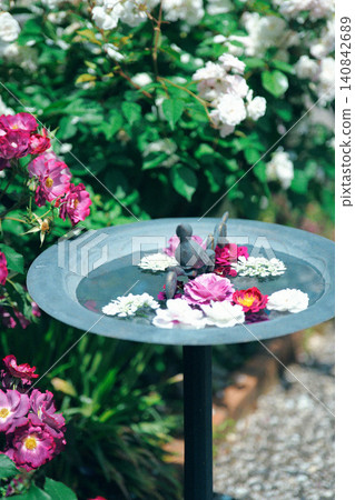 Landscape with rose flowers Landscape with rose flowers 140842689