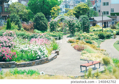 Rose garden in Arakawa Ward Rose garden in Arakawa Ward 140842702