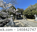 櫻花在神社 140842747