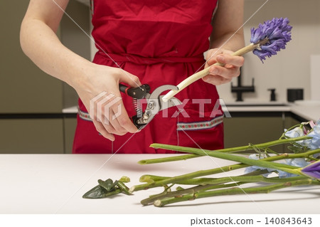 Hands cut lavender stem using pruning tool on table. Person trims flower preparing element for floral arrangement. Gardening concept reflects care, process, plant styling activity Hands cut lavender stem using pruning tool on table. Person trims flower preparing element for floral arrangement. Gardening concept reflects care, process, plant styling activity 140843643