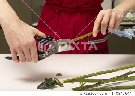 Hands cut plant stem using pruning shears on table surface. Person trims greenery preparing material for floral composition. Gardening process reflects care, maintenance, plant Hands cut plant stem using pruning shears on table surface. Person trims greenery preparing material for floral composition. Gardening process reflects care, maintenance, plant 140843644