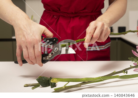 Hands cut plant stems using pruning shears during floral work. Person trims greenery preparing elements for arrangement composition. Gardening concept reflects care, process, plant Hands cut plant stems using pruning shears during floral work. Person trims greenery preparing elements for arrangement composition. Gardening concept reflects care, process, plant 140843646