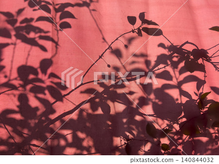 Leaf shadows fall on red surface creating abstract pattern. Natural shapes form contrast with background color. Design concept reflects light, shadow, minimal composition element.. Leaf shadows fall on red surface creating abstract pattern. Natural shapes form contrast with background color. Design concept reflects light, shadow, minimal composition element.. 140844032