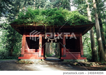 [Togakushi, Nagano City] Togakushi Shrine Inner Sanctuary: The view of the Zuishinmon Gate and the cedar avenue. 140844094