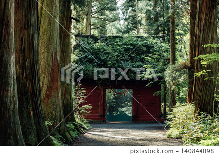[Togakushi, Nagano City] Togakushi Shrine Inner Sanctuary: The view of the Zuishinmon Gate and the cedar avenue. 140844098