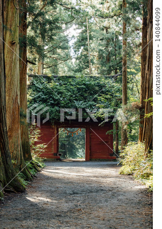 [長野市戶隱] 戶隱神社內殿：瑞神門與杉樹大道的景色。 140844099