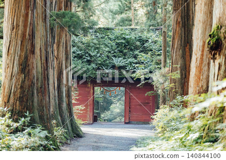 [長野市戶隱] 戶隱神社內殿：瑞神門與杉樹大道的景色。 140844100