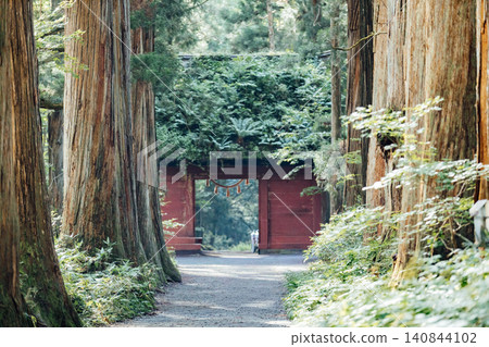 [長野市戶隱] 戶隱神社內殿：瑞神門與杉樹大道的景色。 140844102