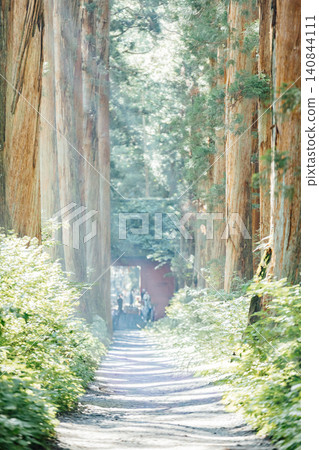 [長野市戶隱] 戶隱神社內殿：瑞神門與杉樹大道的景色，以及遊客。 140844111