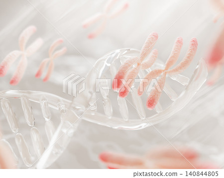 Transparent DNA molecule with pink X chromosomes in clear liquid. Human genome, genetic sex determination, gene therapy and biology. Medical science and biotechnology 3d background. 3D illustration Transparent DNA molecule with pink X chromosomes in clear liquid. Human genome, genetic sex determination, gene therapy and biology. Medical science and biotechnology 3d background. 3D illustration 140844805