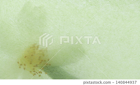 Watermark art made from Japanese paper [Background material] 140844937