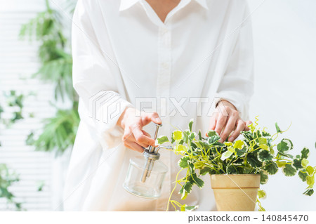 A woman spraying plants. Gardening, horticulture, houseplants, hobby, watering, fertilizing, pest control, care, indoors. A woman spraying plants. Gardening, horticulture, houseplants, hobby, watering, fertilizing, pest control, care, indoors. 140845470