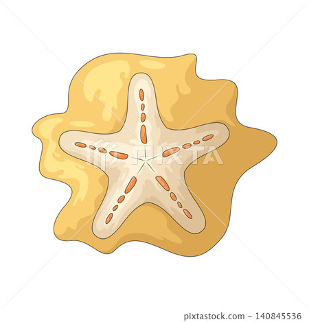 Illustration of starfish Illustration of starfish 140845536