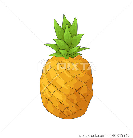 Illustration of Pineapple Illustration of Pineapple 140845542