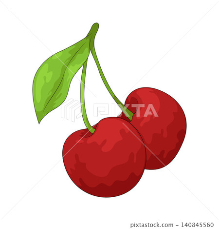 Illustration of Cherries Illustration of Cherries 140845560