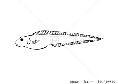 諾洛根格的線條畫插圖 140846639