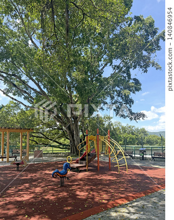 Sunny playground with a large ancient tree and vibrant play structures 140846954