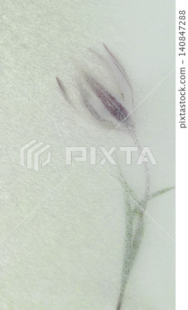Watermark art made from Japanese paper [Background material] 140847288