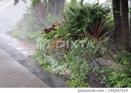 Flower path Flower path 140847324