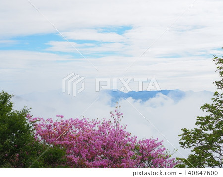 Azaleas on Mt. Akagi, early summer clouds, and Mt. Kōkai (20260528074302) Azaleas on Mt. Akagi, early summer clouds, and Mt. Kōkai (20260528074302) 140847600
