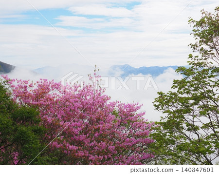 Azaleas on Mt. Akagi, early summer clouds, and Mt. Kōkai (20260528074246) Azaleas on Mt. Akagi, early summer clouds, and Mt. Kōkai (20260528074246) 140847601