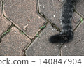 The image shows a cat's tail that is broken, with the tip shaped like the letter L. 140847904