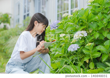 A girl drawing a picture of hydrangeas A girl drawing a picture of hydrangeas 140848031