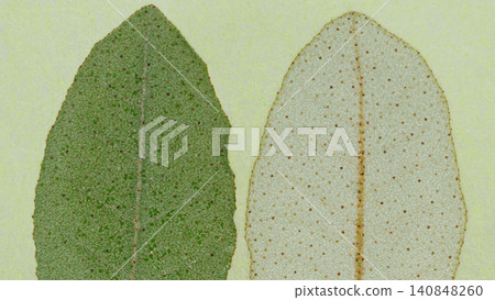 Watermark art made from Japanese paper [Background material] 140848260