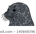 Harbor seal face (at an angle) 140848396