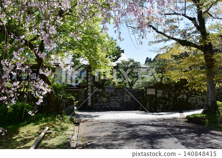 Entrance to the Fuyōen Garden, a scenic spot in Ōtsu City, Shiga Prefecture, with a stone wall and a weeping cherry tree in full bloom. Entrance to the Fuyōen Garden, a scenic spot in Ōtsu City, Shiga Prefecture, with a stone wall and a weeping cherry tree in full bloom. 140848415